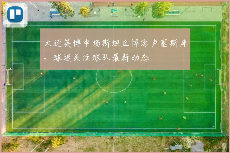 大连英博中场斯坦丘悼念卢塞斯库,球迷关注球队最新动态