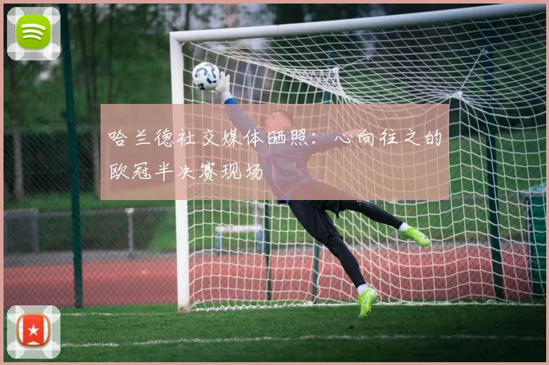 哈兰德社交媒体晒照：心向往之的欧冠半决赛现场